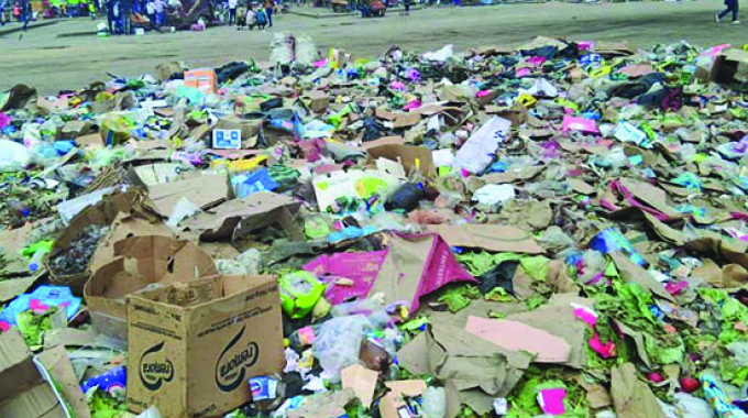 My city, my shame. . .Poor waste management costs Bulawayo its clean city shine