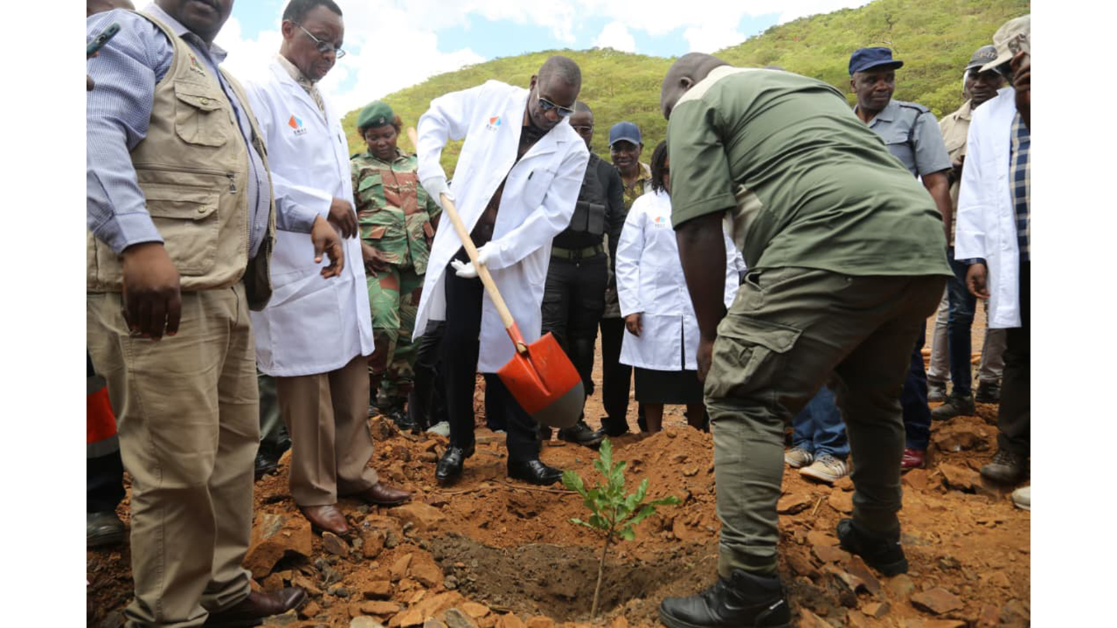 NEW: 11 200 trees planted within Boterekwa escarpment