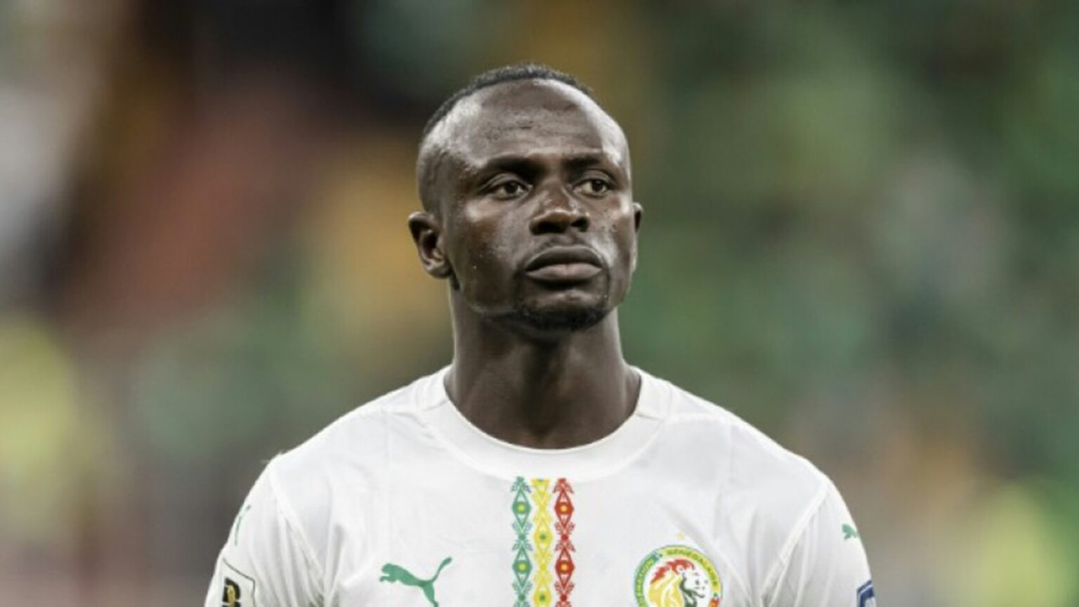 Mane calls for calm – herald