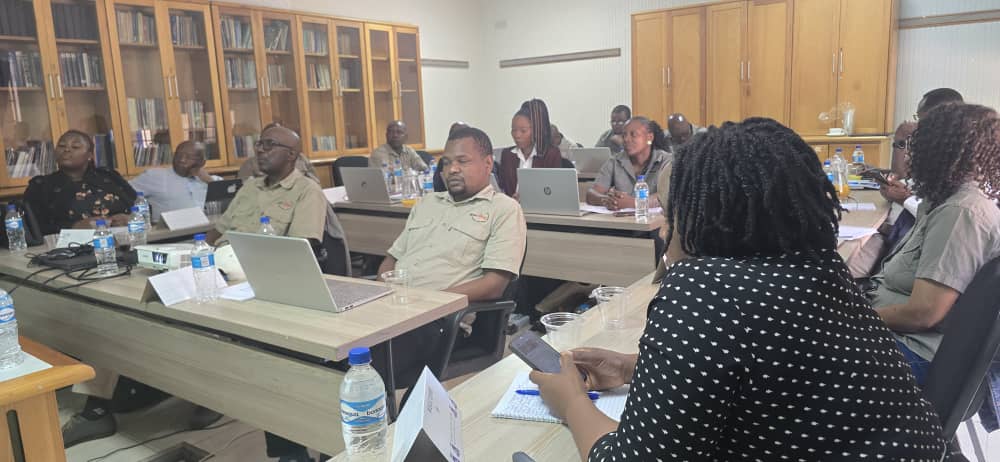Media urged to innovate, build trust at Zimbabwe Mass Media Trust strategy workshop