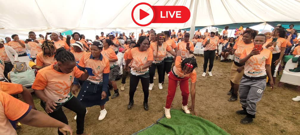 Allied Timbers Zimbabwe commemorates 16 Days of Activism Against GBV