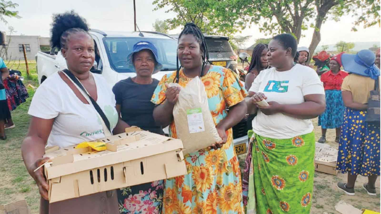 How Zim women are fighting gender-based violence through poultry, digital marketing
