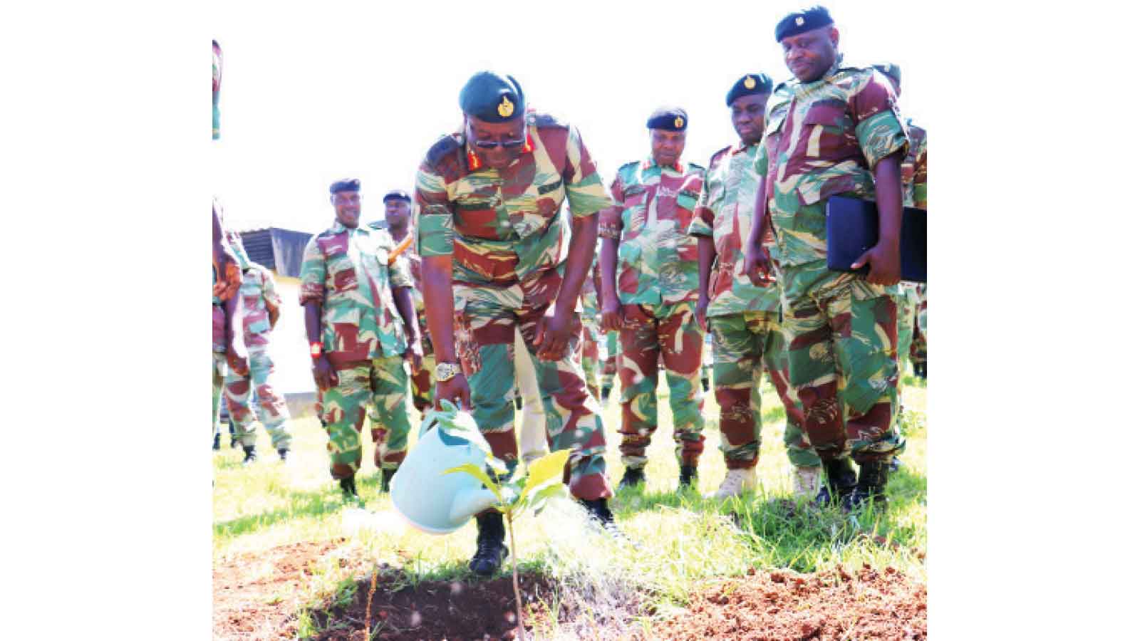 ZNA launches tree-planting campaign