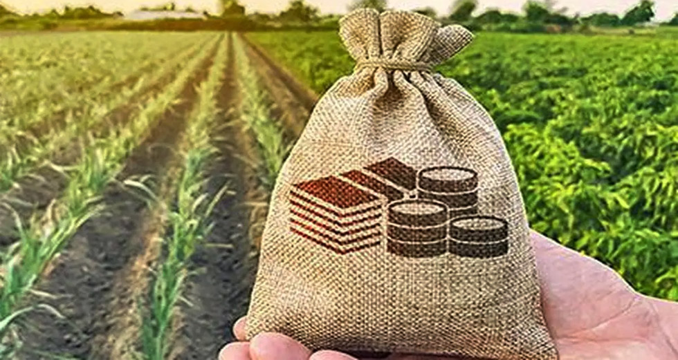 Crop insurance must move from being optional to essential
