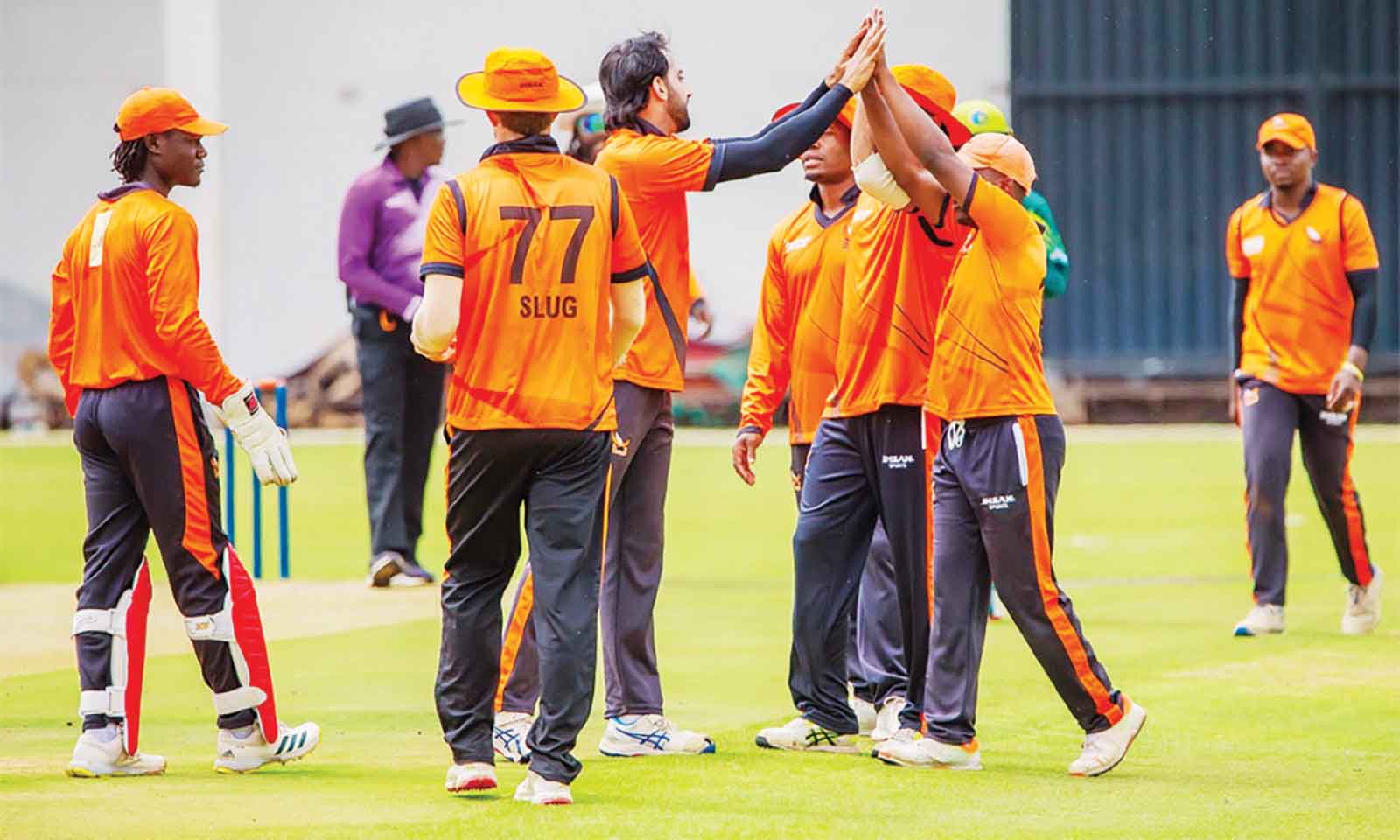 Domestic T20 ignites Harare