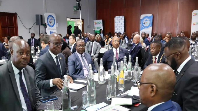 Remarks by HE Ambassador Zhou Ding at 2025 ZNCC Business Review Conference