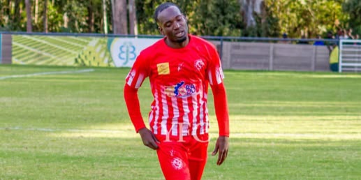 Chipangura set for TelOne