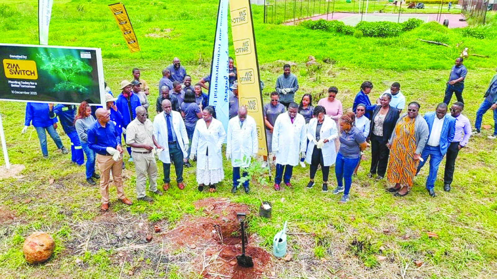 Zimswitch partners HIT for tree planting initiative
