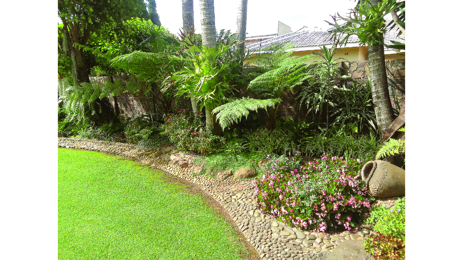 Exploring the world of thematic greening