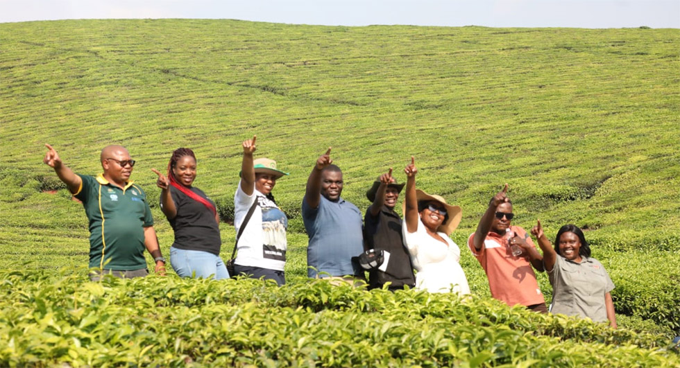 Visitors pose for a photo in the Honde Valley tea estates