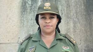 Latest: SA border agencies recover 17 rhino horns, lion claws and tiger bones …. arrest two Nigerians in wildlife trafficking crack down