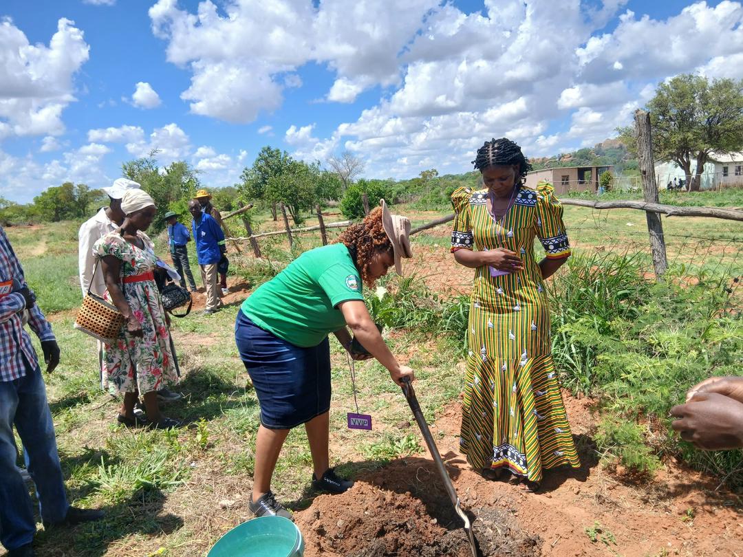 Bulilima District marks National Tree Planting Day