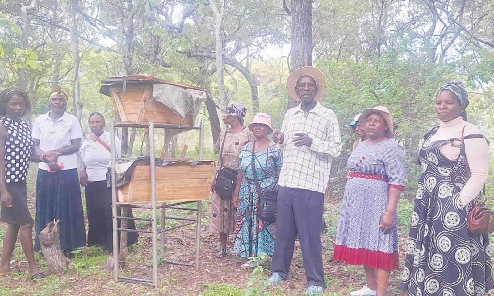 Projects emerge powerful tools against GBV