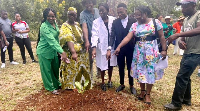 66 trees for a greener tomorrow: Tennyson Primary pupils commemorate National Tree Planting Day