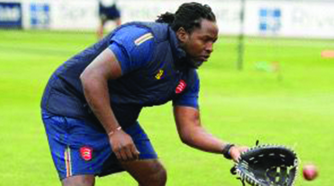 Hondo lands permanent Essex County Cricket role