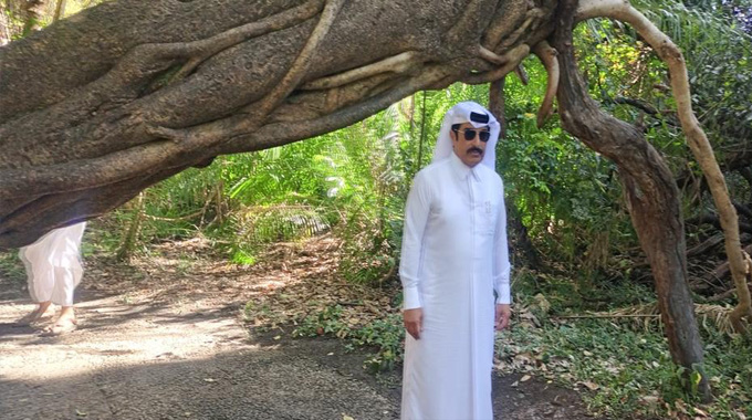 A Botanical drama: Meet the ‘Welcome Tree,’ Victoria Falls’ quiet, unsung living landmark