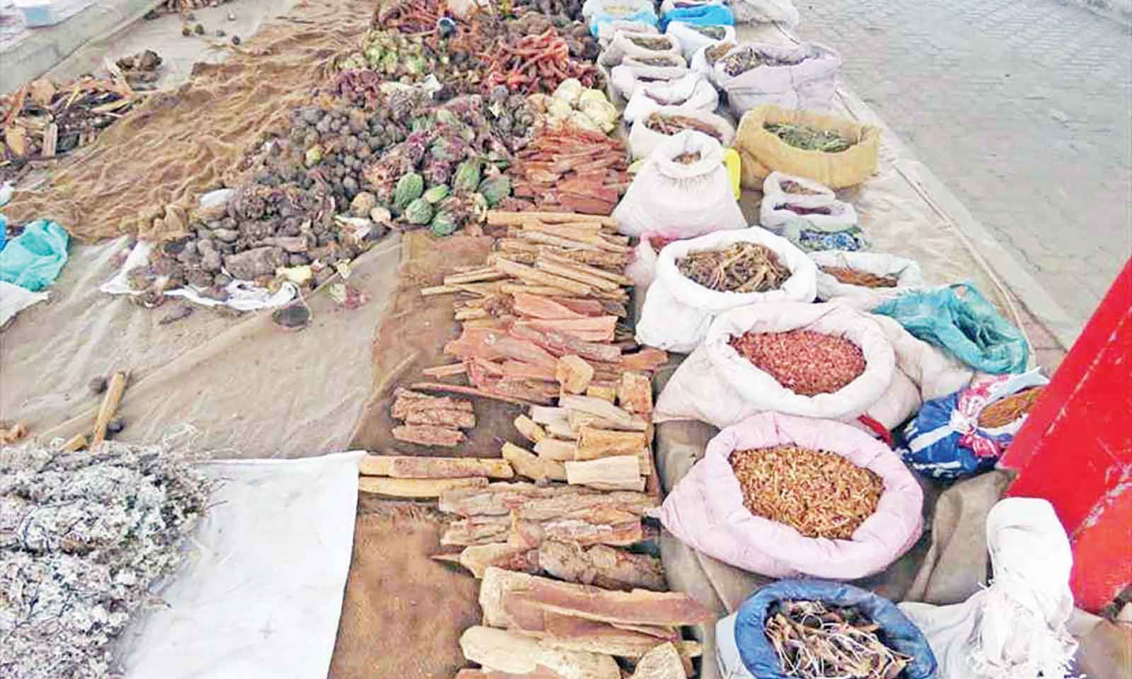 Increasing reliance on herbal medicine a concern