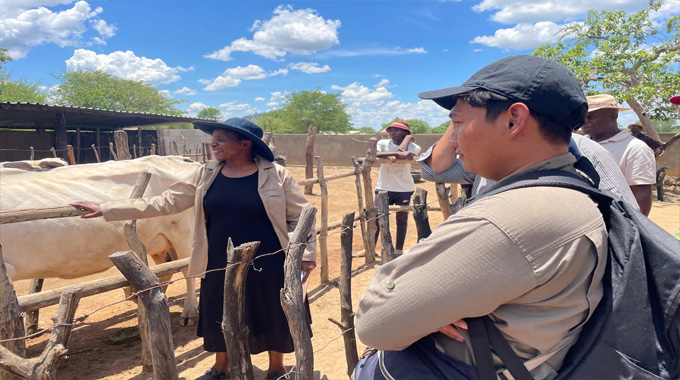 Woman (60) leads dairy revolution in Mawabeni