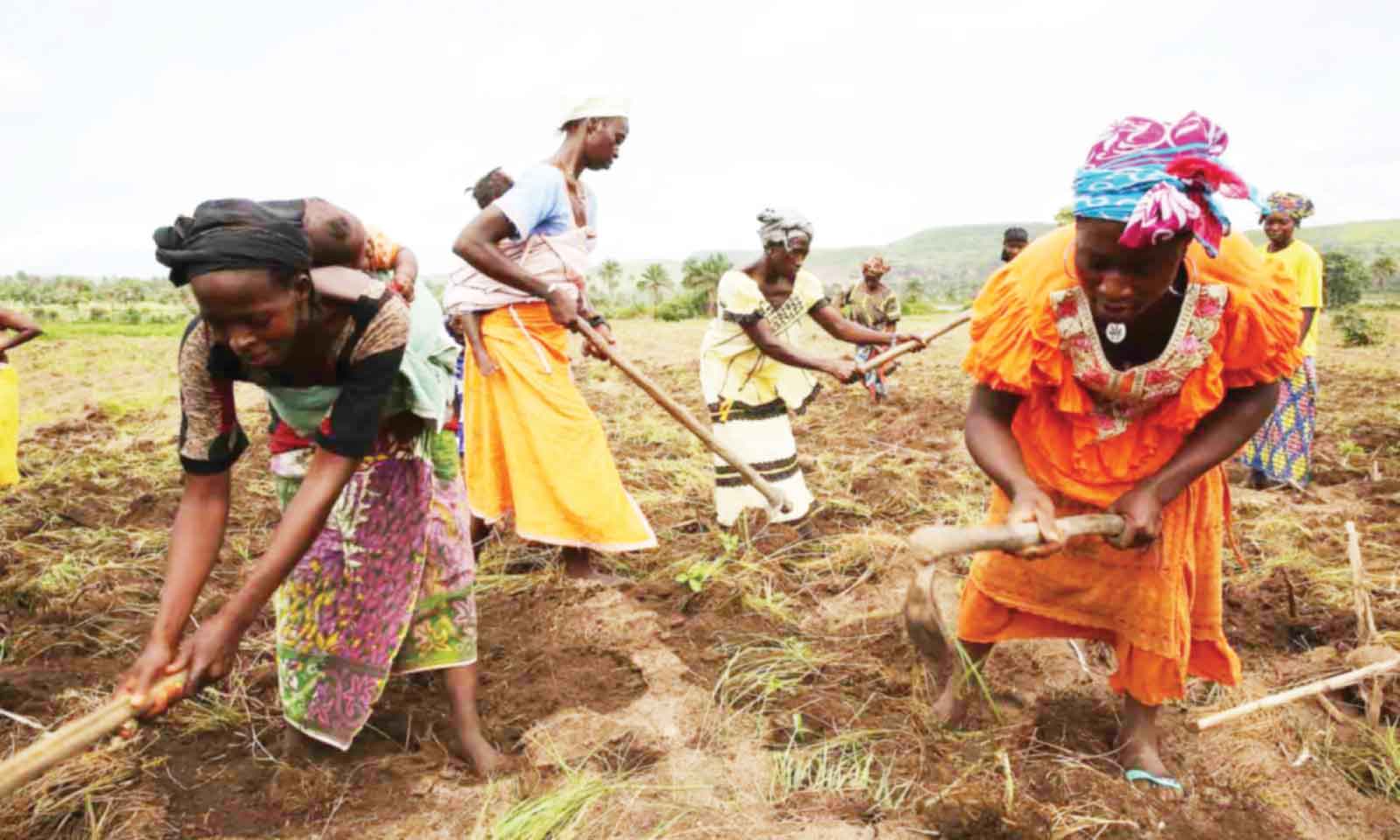African land policy reforms have been good for women