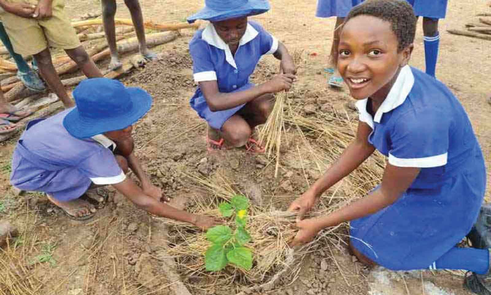 Planting trees essential for Zimbabwe’s future