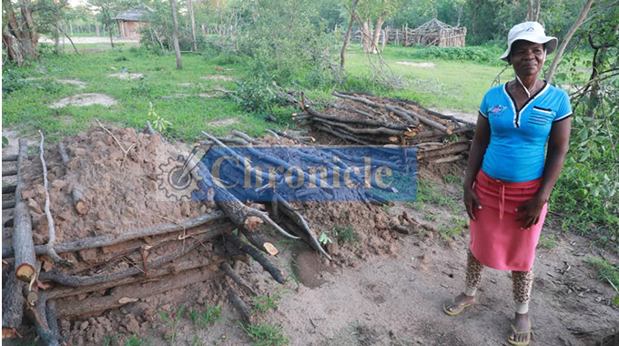 Double murder, suicide leaves Nkayi village reeling