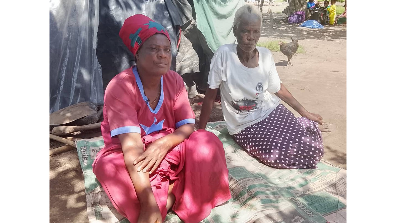Chembere yogara musango yanangwa huroyi nevana