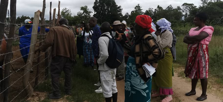 Over 100 youths attend free dairy skills training by Zanu-PF Heritage Trust