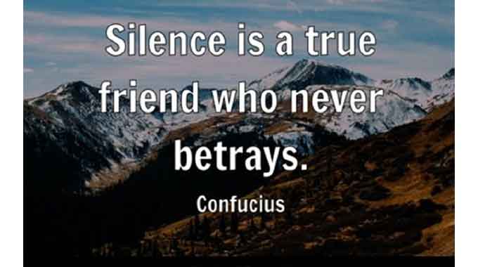 The silent power of a true companion