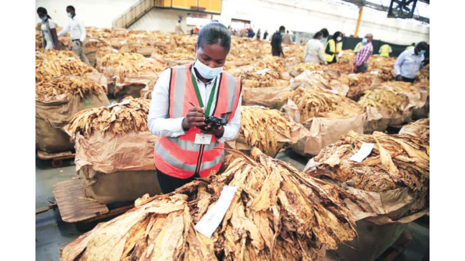 Zim triples exports in January to US$233m