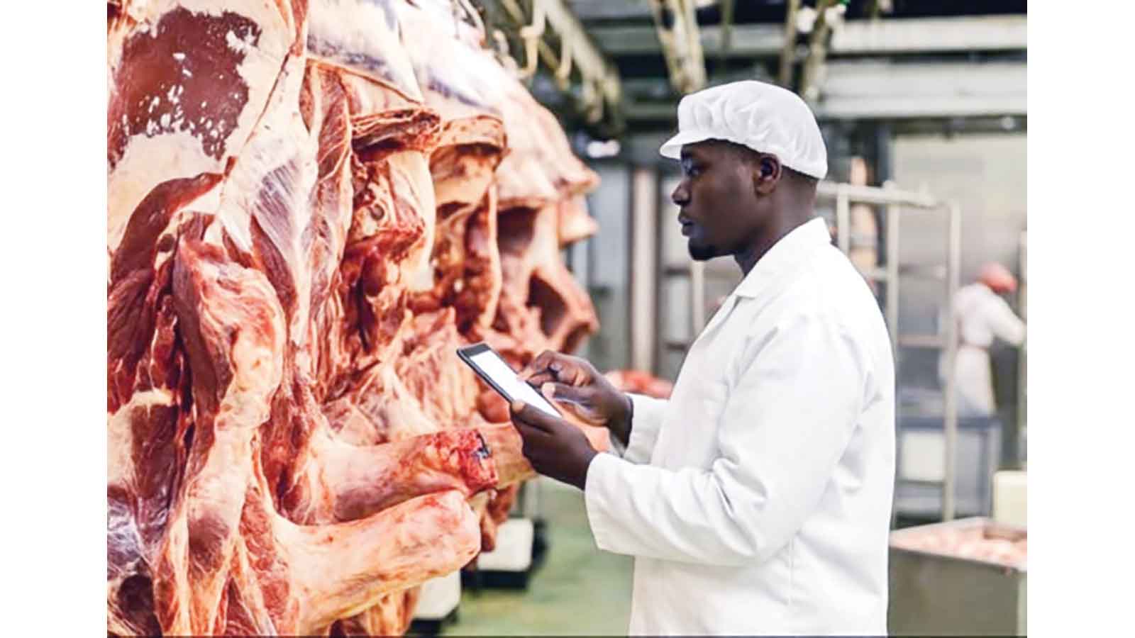 Beefing Up: CSC seeks post rescue turnaround specialist
