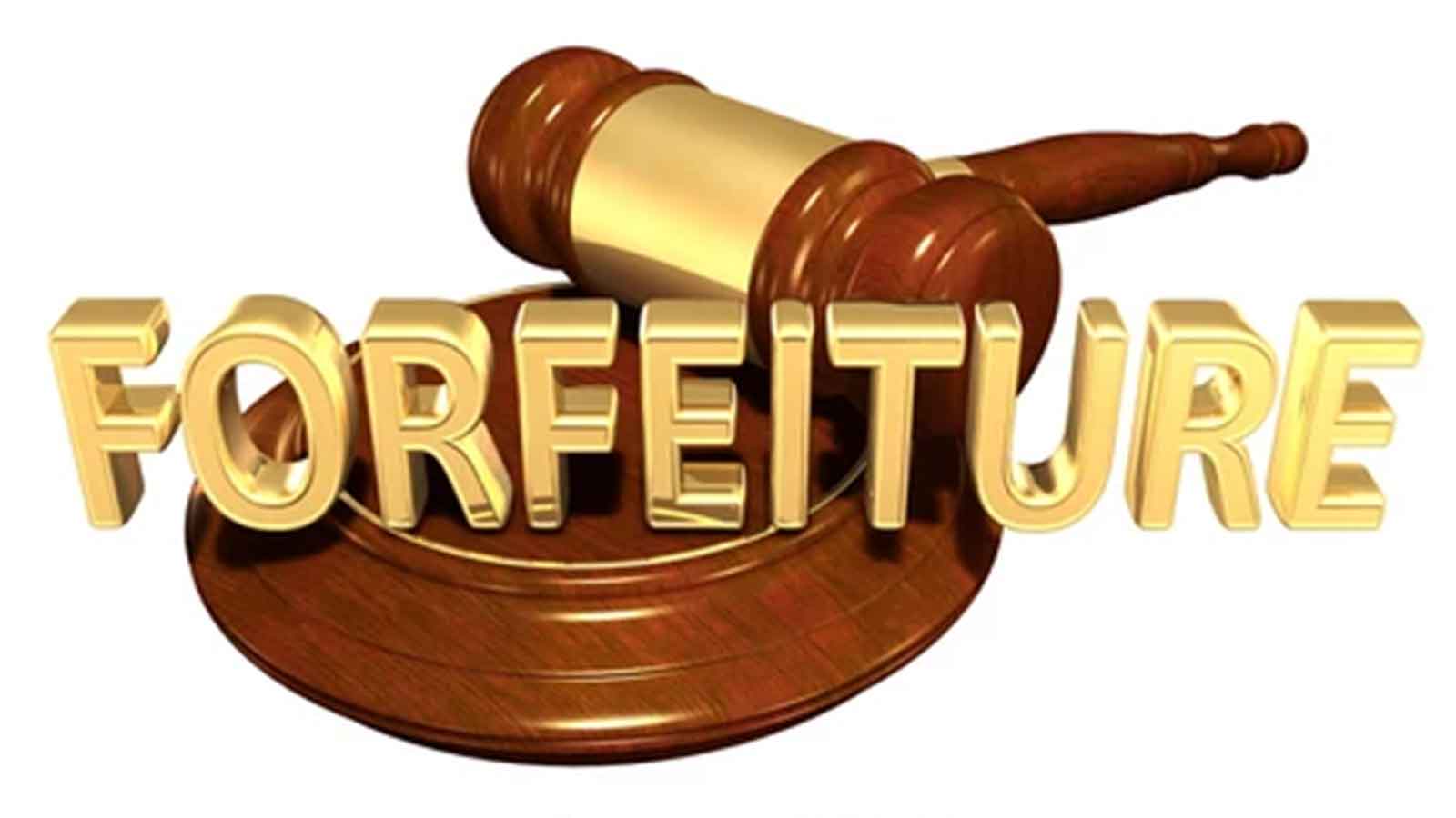 Fraudulent cashier loses 3,6ha upmarket property