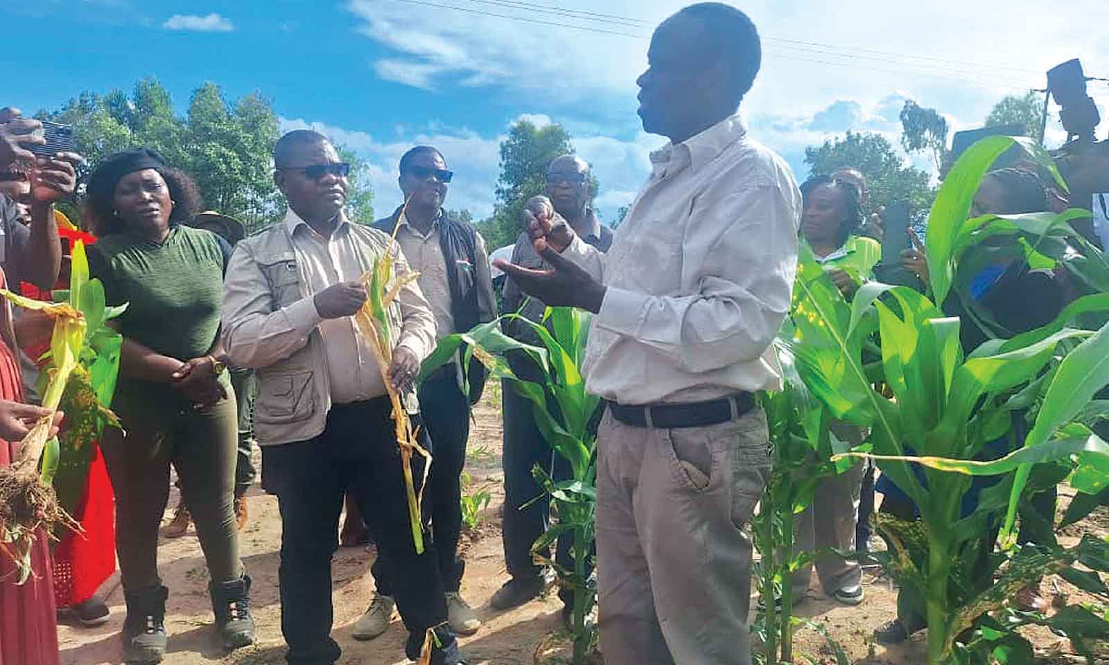 Guruve terror threatens regional harvest