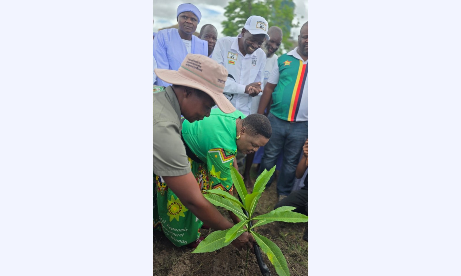 Masowe4ED plants 300 trees
