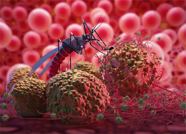 21 malaria cases reported in Mutare urban