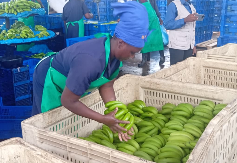 The company says the practice is meant to prevent deliberate sabotage in its production line