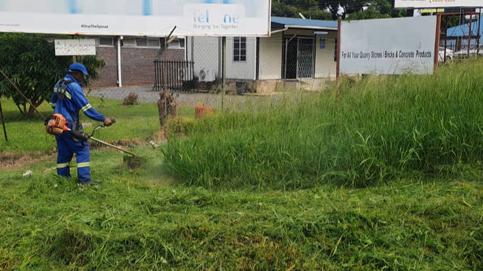 Police, EMA raise alarm over tall grass in urban areas