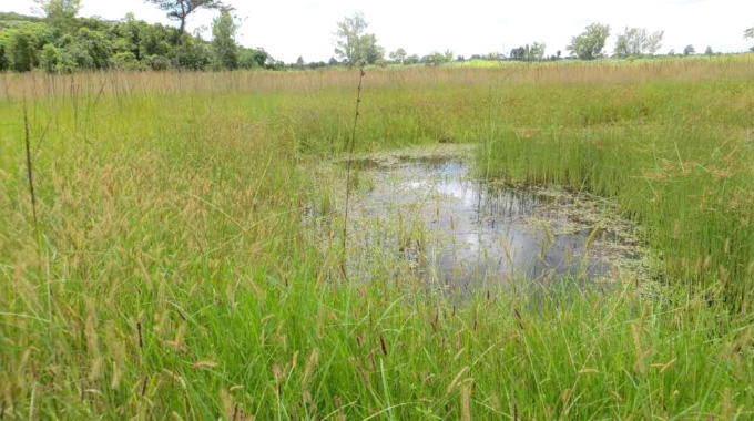 Sacred spaces, global responsibility: Zimbabwe and the Wetlands cause