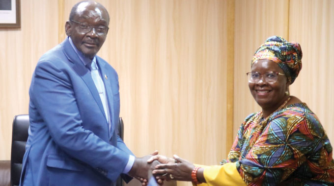 United Nations Women meets Acting President on women empowerment
