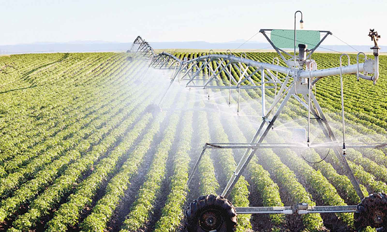 Investor hails Zim’s agric potential