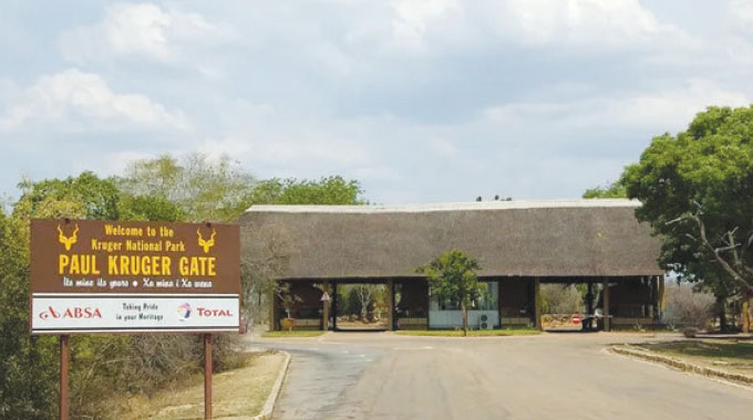 When the wild comes home  Beitbridge villages on edge as lions cross the border