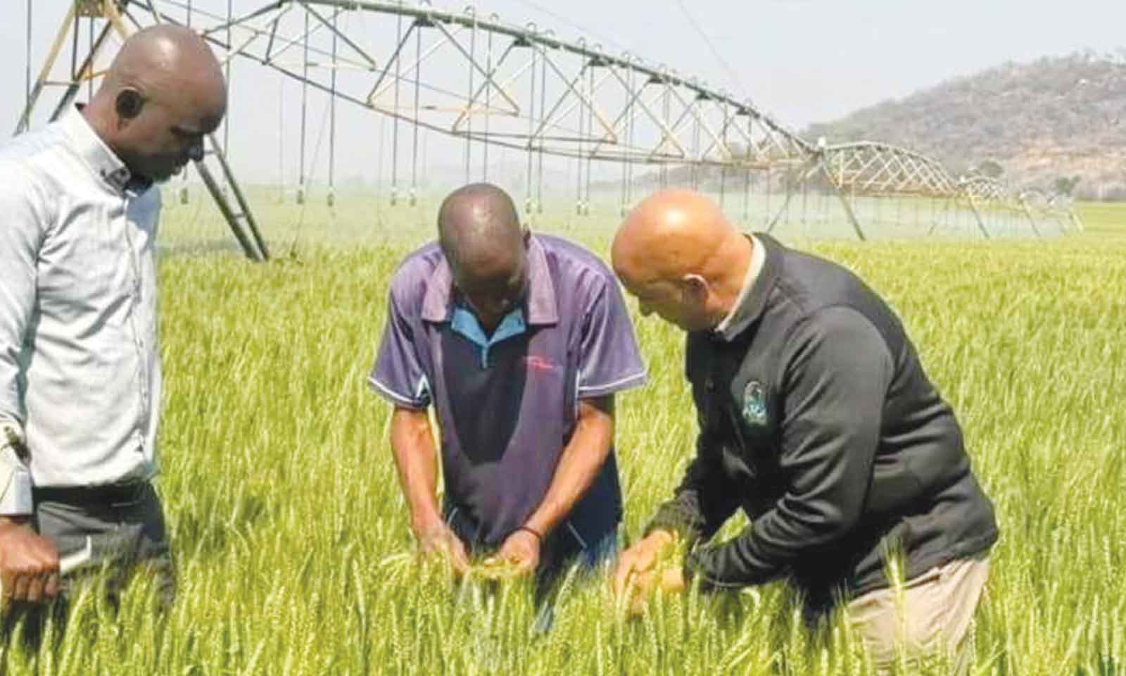 ‘Value addition, integrated  farming can drive food security’