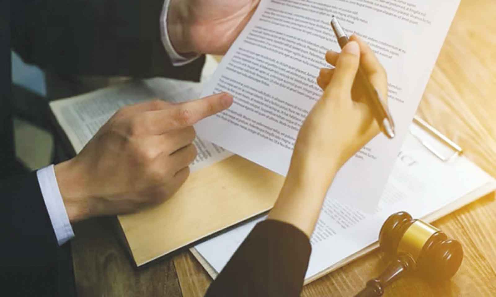 Legal opinions for foreign owned companies
