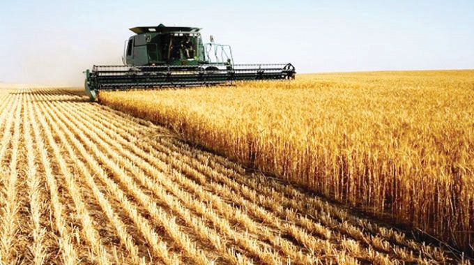 Farmers optimistic about 2026 season after record wheat, tobacco output