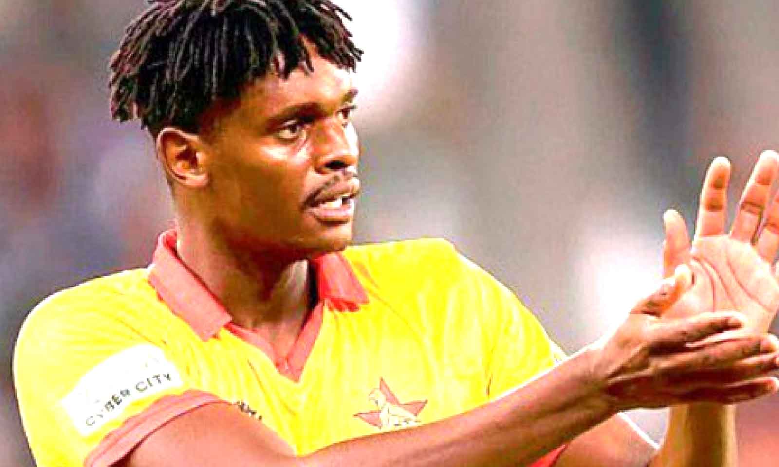 Zimbabwe’s year of plenty in cricket