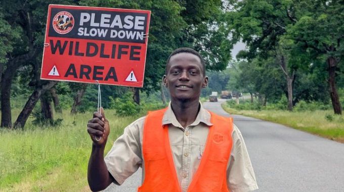 Conservationists, Government move to protect wildlife, motorists on Bulawayo-Victoria Falls detour