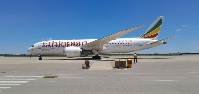 WATCH: Dreamliner makes historic touchdown at Joshua Mqabuko International Airport in Bulawayo