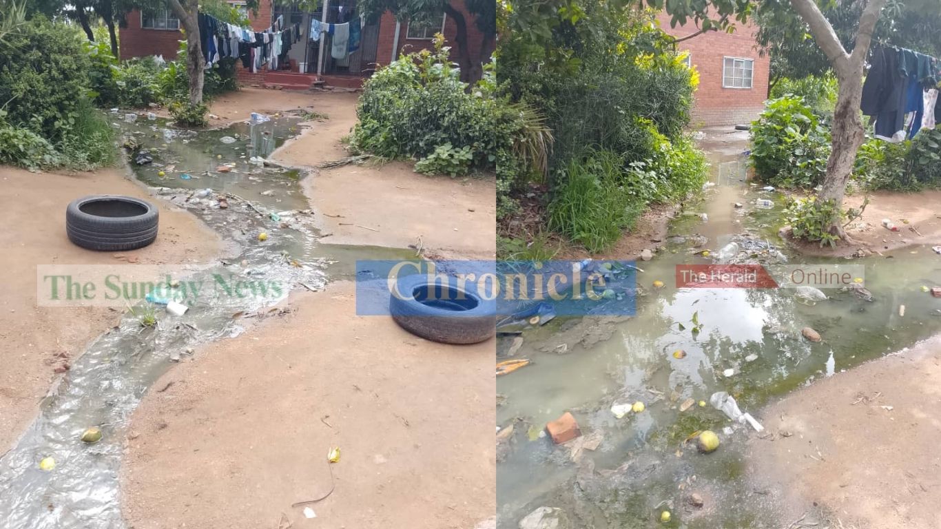 WATCH: SEWAGE NIGHTMARE: Mabuthweni residents live with raw sewage at their homes
