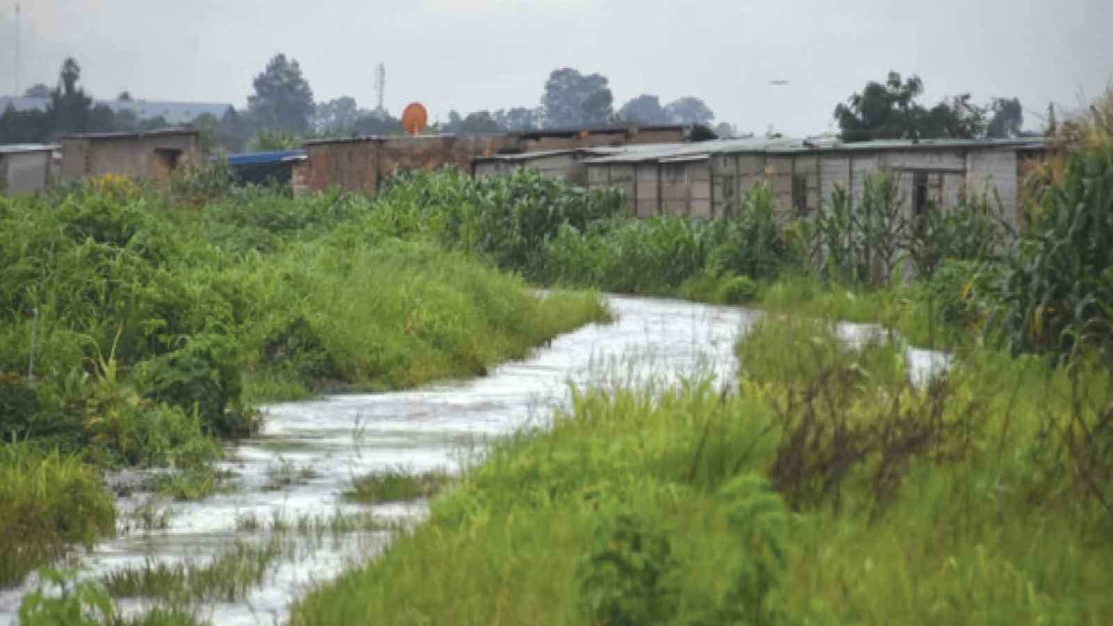 Borrowed ground: Wetlands, housing, Harare’s fragile future