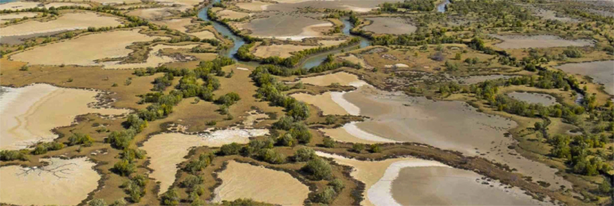Manicaland, known for its lush landscapes and abundant water resources, has been facing increasing pressure on its wetlands due to human activities such as agriculture, mining and urbanisation
