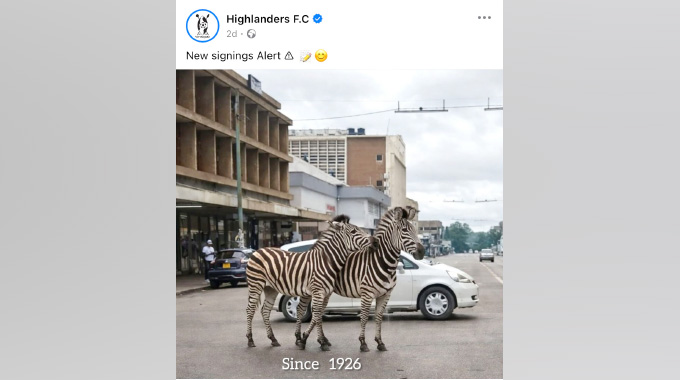 Social media safari: How Byo captured a wild zebra moment in real time